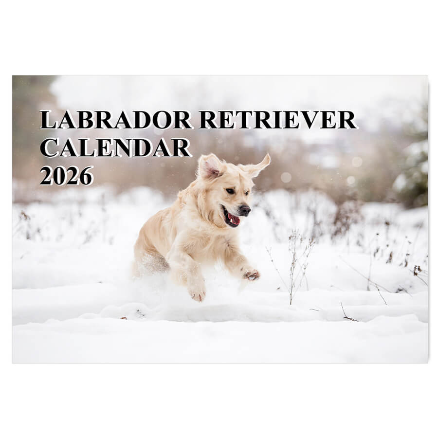 calendar for dogs 2026