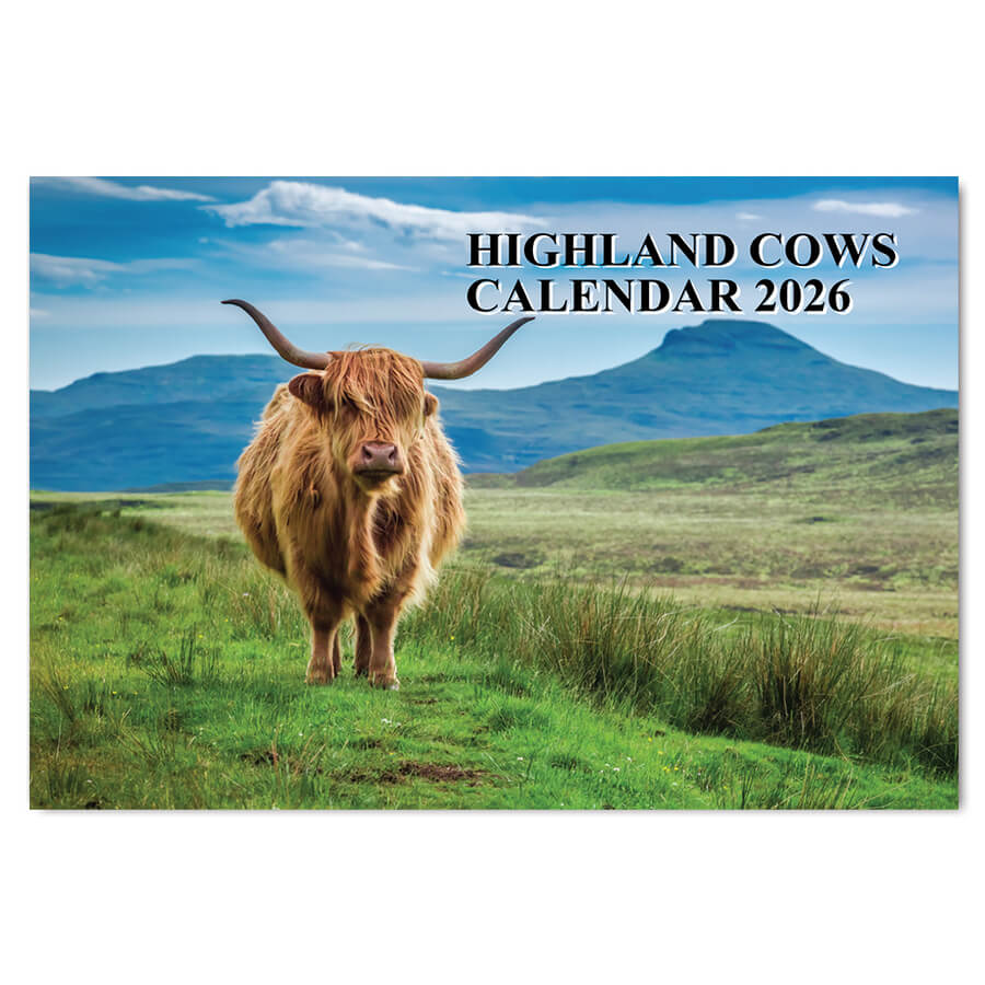Highland Cows Calendar 2026