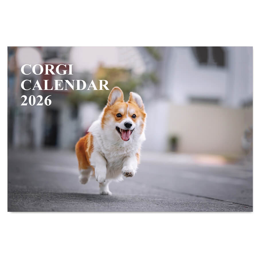 Corgi Calendar 2026 A4 to A3 cute dog wall planner UK