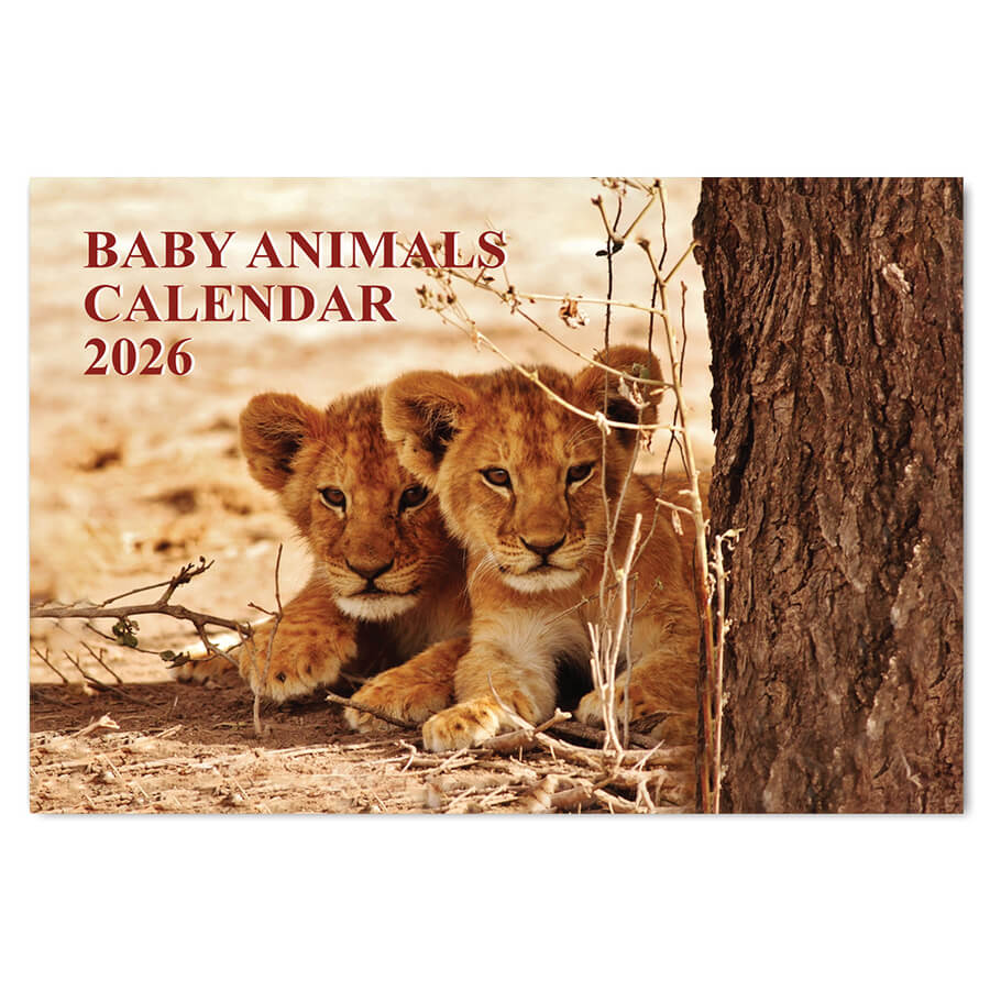 Baby animals wall calendar 2026
