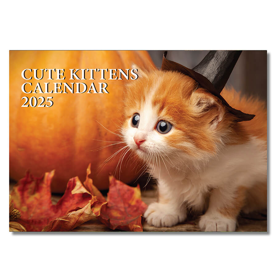 Kittens Calendar 2025 - 12 Month