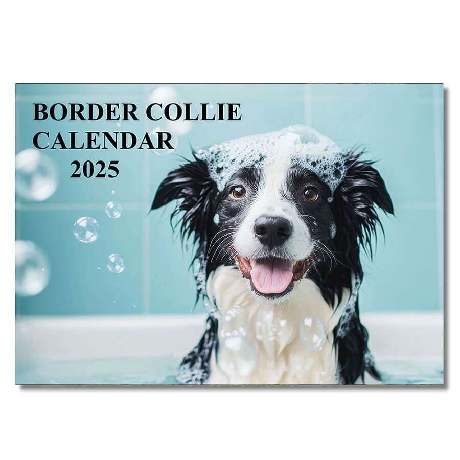 Border Collie 2025 Calendar Cover