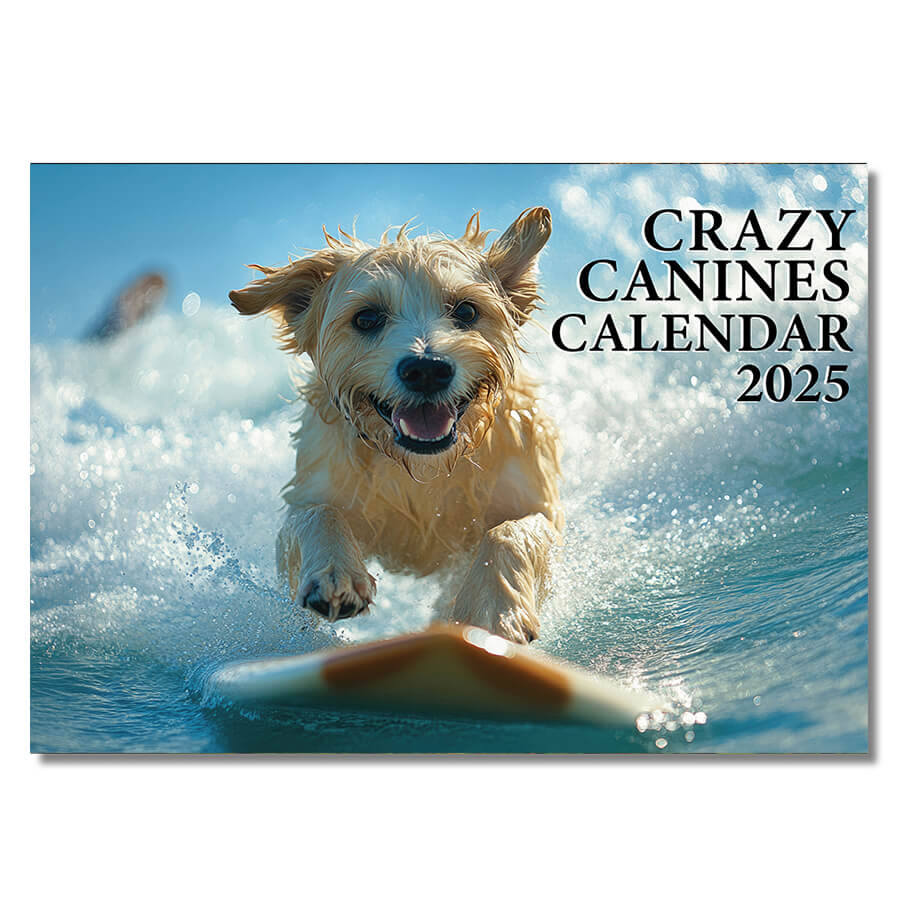 Crazy calendar 2025