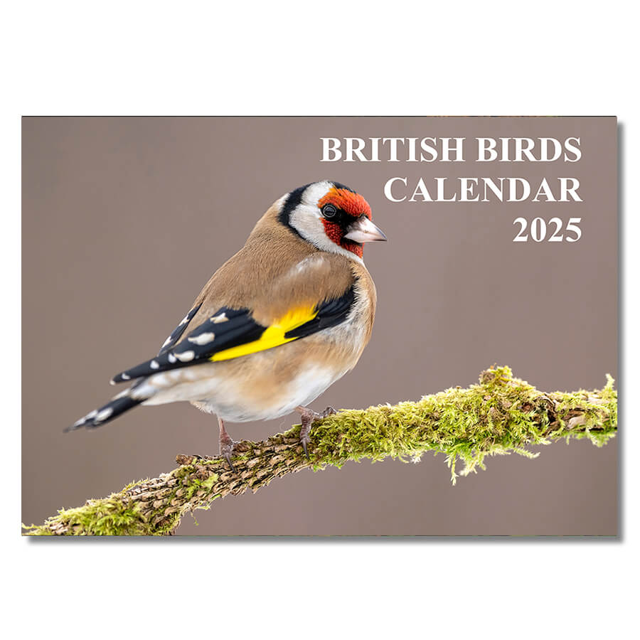 British Bird Calendar 2025 