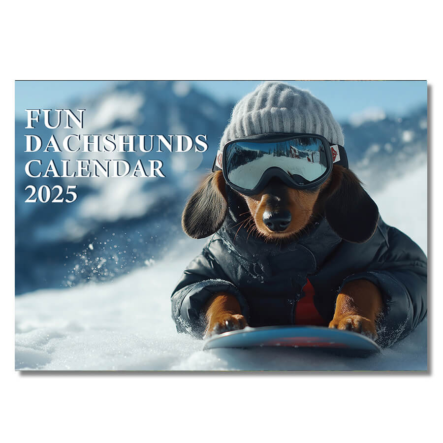 Fun Calendar 2025