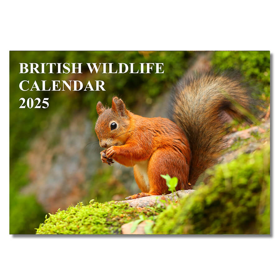 Wildlife Wall Calendar 2025