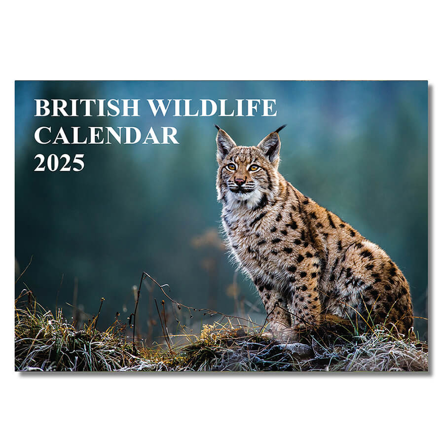 Wildlife Calendar