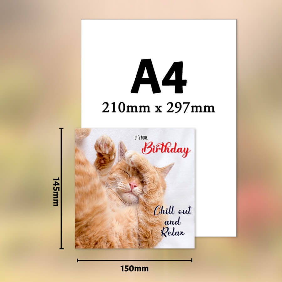 Cat Birthday Chill Out Card