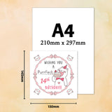 Personalised Cat Birthday Greeting Card With Age