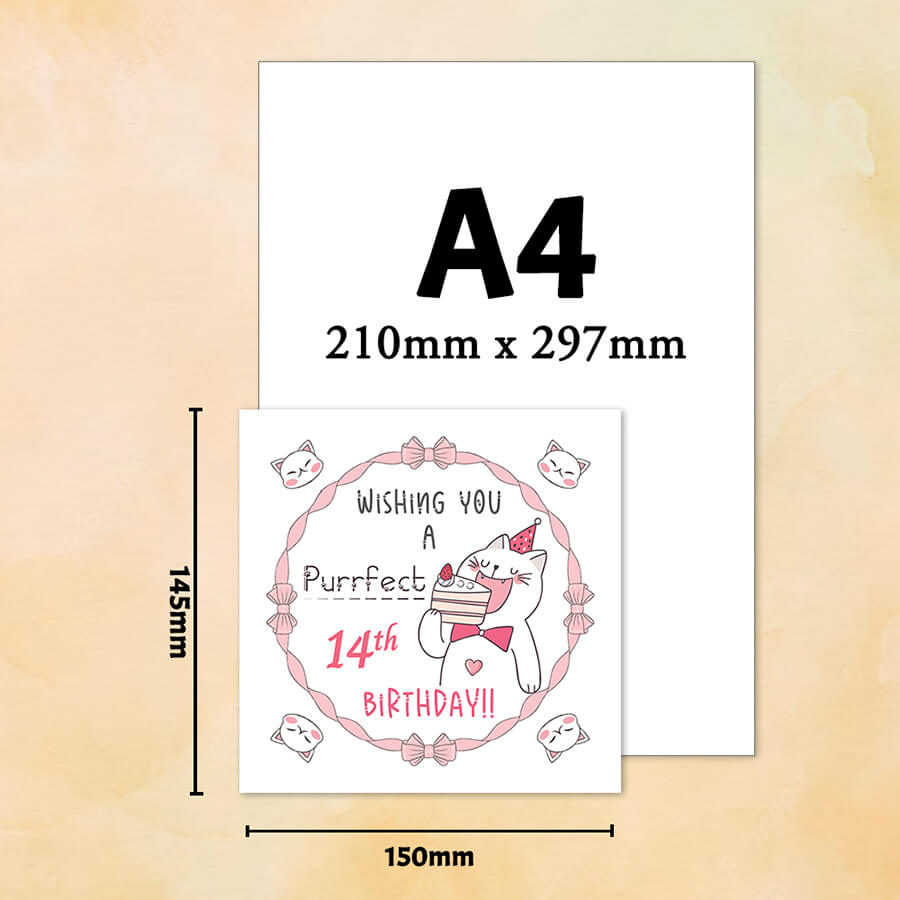 Personalised Cat Birthday Greeting Card With Age