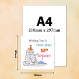 Personalised Cat Birthday Greeting Card With Age