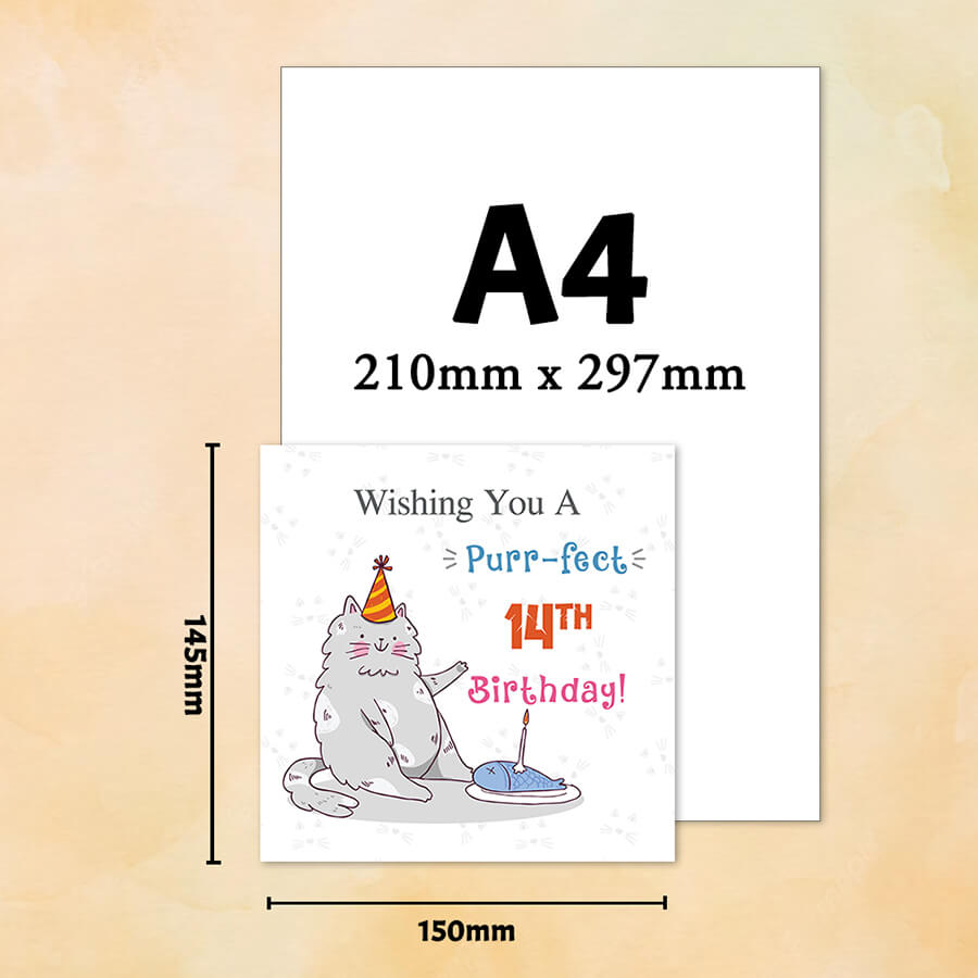 Personalised Cat Birthday Greeting Card With Age