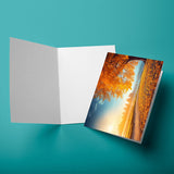 Recycled blank greeting cards