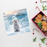 Dog Christmas cards multipack for sending holiday cheers