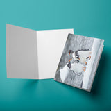 Eco-Friendly British Wildlife Greeting Cards