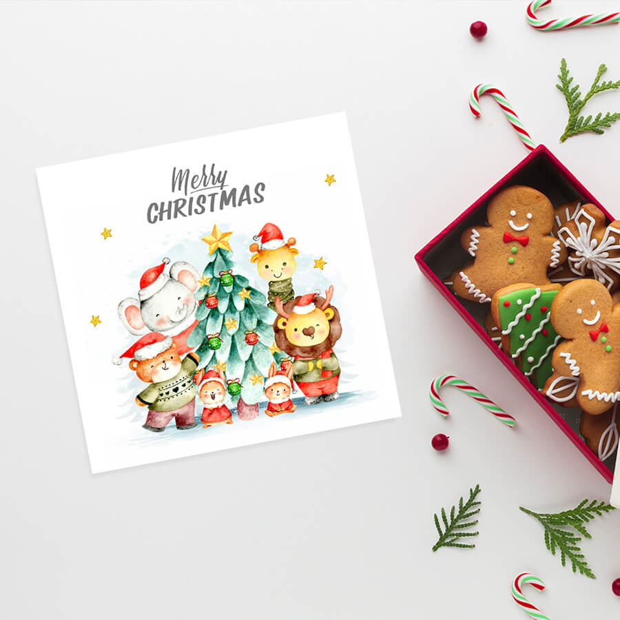 Variety packs of Xmas cards for everyone