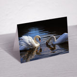 Eco-Friendly British Wildlife Greeting Cards