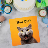 Humorous Cat Age Birthday Card
