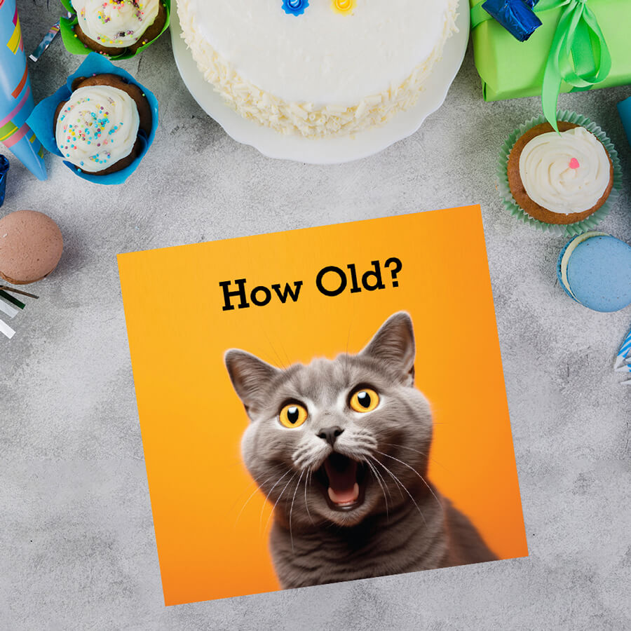 Humorous Cat Age Birthday Card
