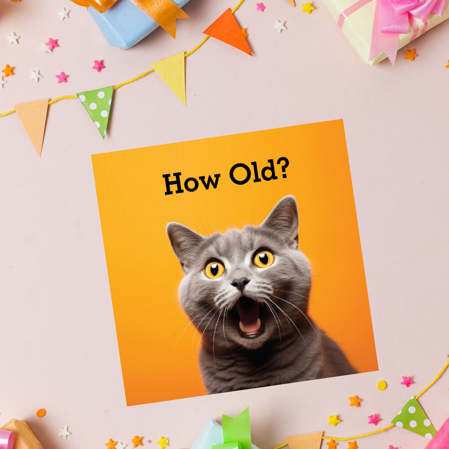 Humorous Cat Age Birthday Card