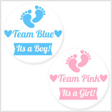 Team Blue Team Pink Gender Reveal Baby Shower Stickers