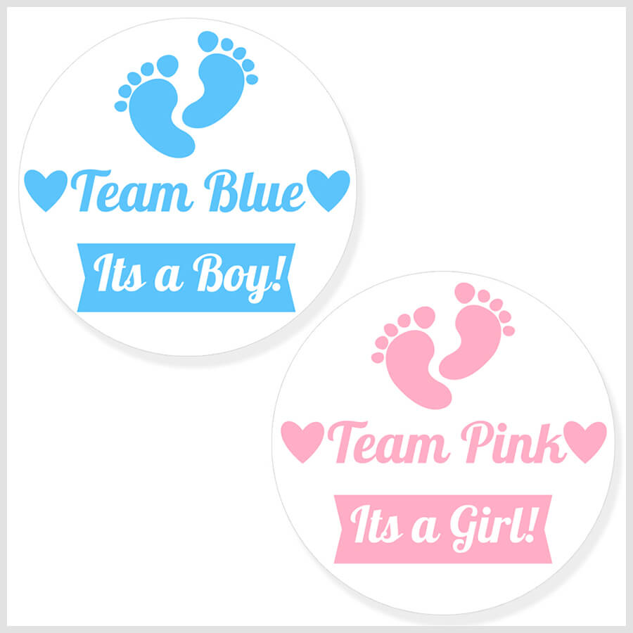 Team Blue Team Pink Gender Reveal Baby Shower Stickers