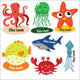 Sea Animals