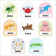 Sea Animals