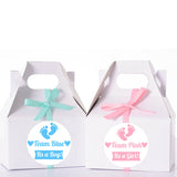 Team Blue Team Pink Gender Reveal Baby Shower Stickers