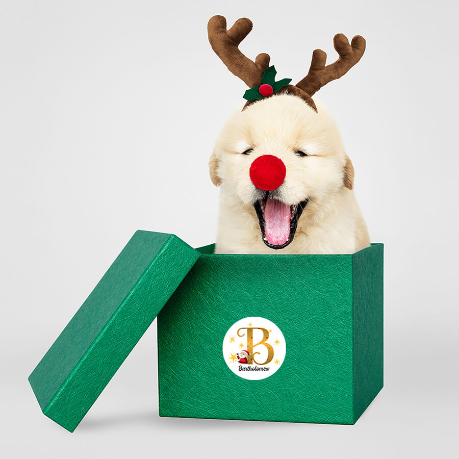 Personalised Christmas  Sticker - Round - Alphabet Santa