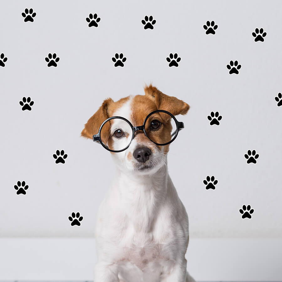 Paw Stickers