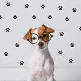 Paw Stickers